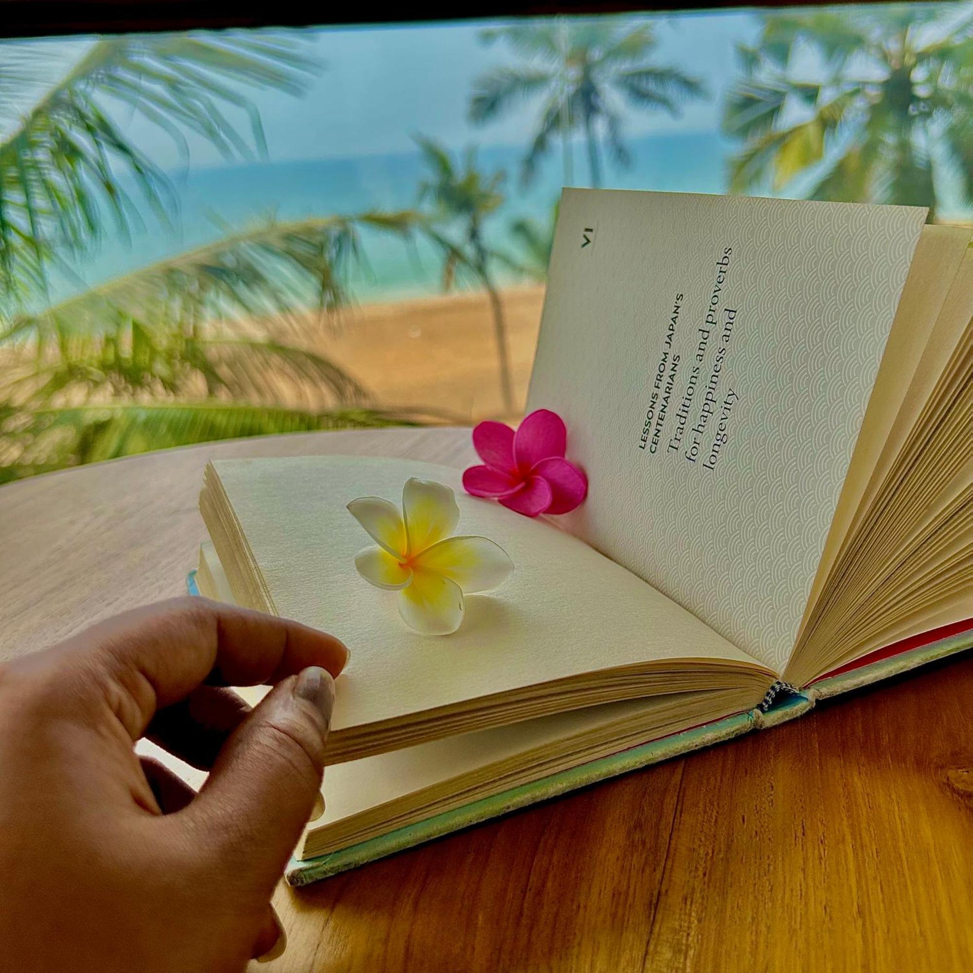 Bed and Breakfast Santa Maria, Trivandrum - An Airport Boutique By The Sea Thiruvananthapuram Екстер'єр фото
