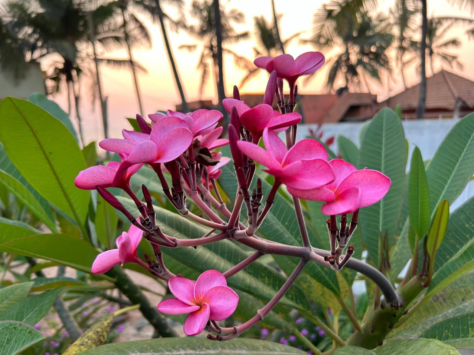 Bed and Breakfast Santa Maria, Trivandrum - An Airport Boutique By The Sea Thiruvananthapuram Екстер'єр фото